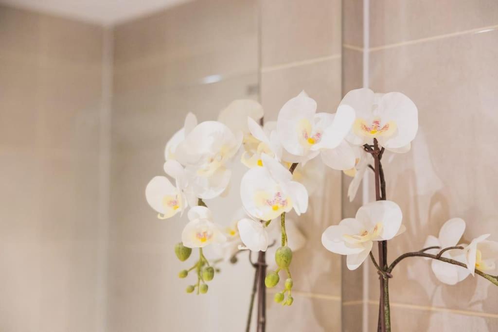 ברמינגהאם Cosy City Centre Apartment With Parking מראה חיצוני תמונה